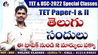 TS TET  Telugu Grammar Sandulu @eGURUmtvNaresh