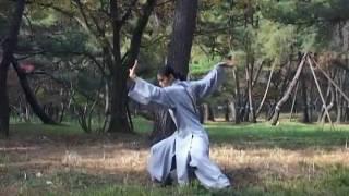 Poong Ryu Son Do - Level 1