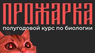 Презентация полугодового курса "Прожарка"