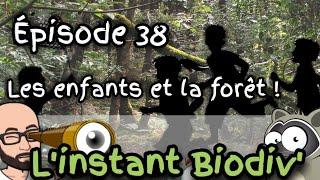 Ep38 Les enfants et la forêt ! ( idées d'activités à faire en forêt )