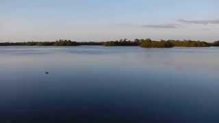 J.N. "Ding" Darling NWR on Sanibel Island - A Peaceful View from the Mangrove Outlook