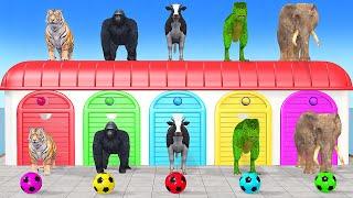 Cow, Elephant, Tiger, Gorilla, T-Rex, 3d Animal Long Slide Game Funny, 3d Paint Animals Cage Game