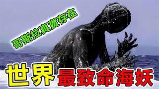 世界上“最致命”的10大海妖，300米高重達150噸的哥斯拉真的存在？ 科學家現時無法解釋|#地球之最#世界之最#出類拔萃#腦洞大開＃前10名#地球最TOP#哥斯拉#動物#海妖