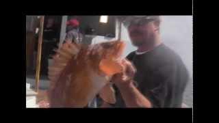 Reel Anglers Fishing Show - Overnight trip on Pacific Islander 7 18 14