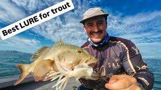 FISHING TOWNSVILLE'S MAGNETIC ISLAND