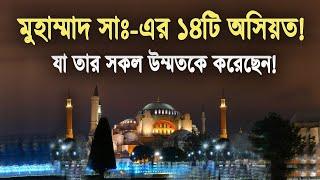 মুহাম্মাদ সাঃ-এর ১৪টি অসিয়ত! যা আপনাকে বিশাল সাফল্যের জন্য প্রস্তুত করবে!