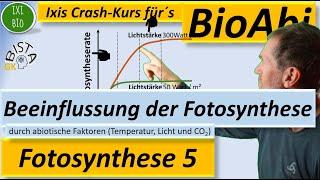 Beeinflussung der Fotosynthese (Photosynthese) durch abiotische Faktoren (Temperatur, Licht, CO2)