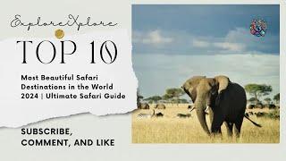 Top 10 Most Beautiful Safari Destinations in the World 2024