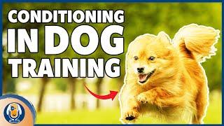 Conditioning In Dog Training: Why A Recall And Positive Interrupter Are Different #161 #podcast