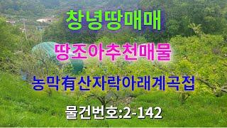 [땅조아 추천 매물 2-142]{길곡면 급매물} 농막有, 세상이 훤한 계곡 접한 산 자락 아래 건축 가능한 창녕땅매매(1,254㎡/379평 당22만원)