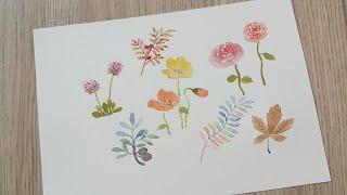 Watercolor flower painting 수채화 꽃그리기