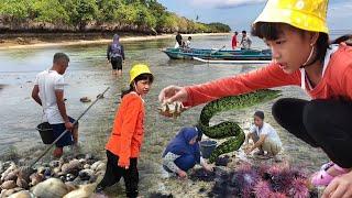 Pantesan Diserbu warga, Ternyata Dipulau kosong Ini, Banyak Biota Laut yg bisa didapat dgn mudah