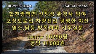 [물건번호712. 경남 합천군 쌍책면 산정상에 위치한 임야 포장도로접 차량진출입가능 임야내 또 따로임도길有 경사10-15도 거의 평지형태의 완만한 야산-염소방목가능 평당1만1천원]