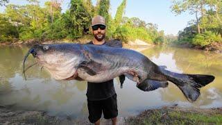 TINY CREEK, GIANT CATFISH!!