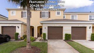 20428 Needletree DR Tampa FL 33647