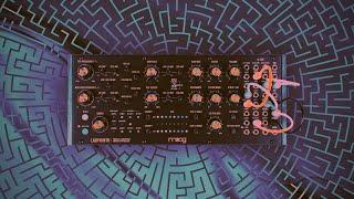 Fishing for Techno ideas with Moog Labyrinth ️