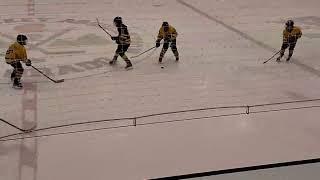 Live streaming of 2024 AYHL 12U Warriors - Yellow