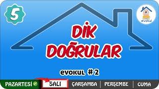 Dik Doğrular | 5.Sınıf #uzaktanegitim #evokul Kampı