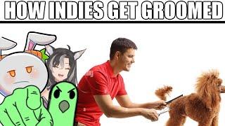 Parrot Explains How Small Indie VTubers Get Groomed