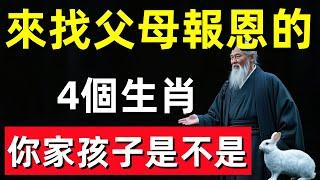 這4個生肖是來找父母報恩的，你家孩子是不是？#修行思維 #修行 #福報 #禪 #道德經 #覺醒 #開悟 #禅修