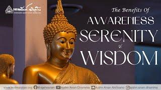 The Benefits of Awareness, Serenity & Wisdom | Friday Dhamma | 28 June 2024