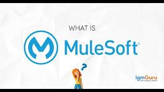 What is Mulesoft Tutorial for Beginners | Mulesoft Training | Mulesoft Course [Updated 2024]-igmGuru