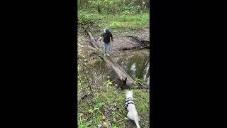 Shenango River Trail