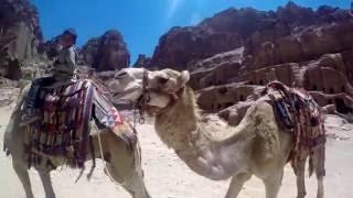 Petra Jordan - June 2016