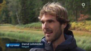 ARD - Abenteuer Schwarzwald in der Tagesschau