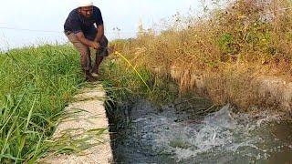 Awesome FISHING |Cat Fish Catching|Village Fishing|Cat Fishing|Abdul Sami fishing|Fish hunting