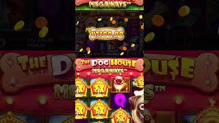 ОЧЕНЬ ЖИРНЫЙ ОКУП В DOG HOUSE MEGAWAYS  #lord #казино #slot #casino #заносынедели