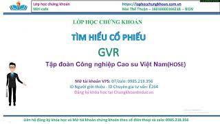 Tìm hiểu cổ phiếu GVR năm 2023 | Tập đoàn Công nghiệp Cao su Việt Nam