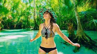 Tropical Paradise in Central Florida | King's Landing Travel Guide