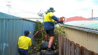 The MOST SHOCKING Garden Cleanup Disasters You've Ever Seen!!!