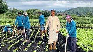 আমেরিকায় বাংলাদেশি কৃষক ও দেশি শাক সবজি। Bangladeshi Farmers in New York, America. Goshen #1