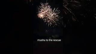 MUSHU TO THE RESCUE 100 SHOT FIREWORK CAKE #fireworks #demo #shorts