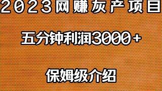 2023灰产网赚USDT搬砖暴力项目，保姆级教程教你十分钟网赚3000元     （招代理）