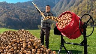 We've Harvested Walnuts! Cooking Natural Sweets