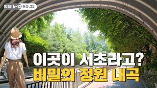 그린벨트 풀고 아파트를 지었더니?