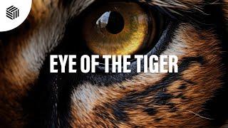 Nic Johnston, MeSSy & Max Niklas - Eye Of The Tiger