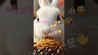 짜장면먹는토끼#짜장면드실분#중화요리#당당허니tv