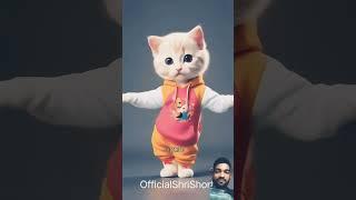 #love #cute #funny #cat #catlover #song #music #funnyvideo #trendingshortsnewsong