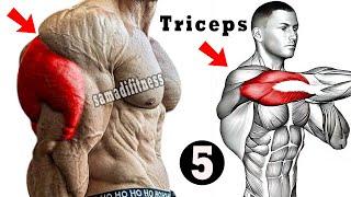 Top 5  Effective Triceps  Workout At Gym   Triceps Workout