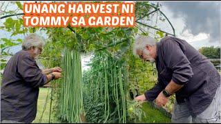 Pinay sa Amerika - HINDI SANAY SI KANO SA GARDEN