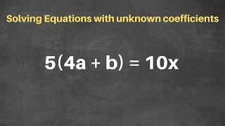 Solving a Linear Equation with unknown coefficients