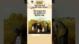 '로또 청약' 줍줍 오늘부터 아무나 못한다 #쇼츠