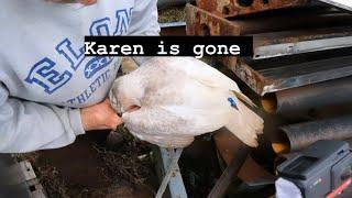 RIP KAREN! / Our last season together