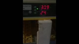 48 Egg Incubator Automated 2 Hourly Turning Mechanism