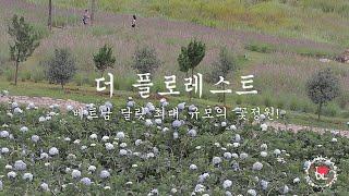 [더 플로레스트] 베트남달랏 최대! 규모의 꽃정원 Dalat The Florest