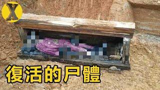 考古隊挖到元代古墓，開棺發生詭異現象，女屍“復活”了！【X檔案】